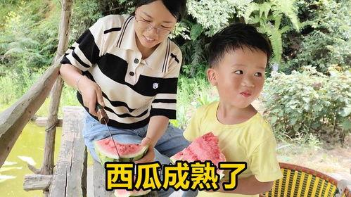 综艺吃瓜完结,真相揭晓，明星幕后故事全解析