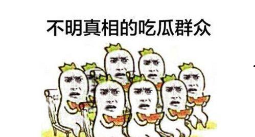 失望的吃瓜群众小说阅读,失望背后的小说世界