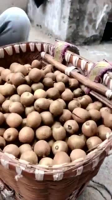 带你吃瓜野生当当当,一场别开生面的网络狂欢之旅