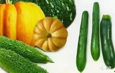 上天吃瓜,揭秘神秘天宫的瓜果传奇