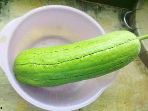 水瓜发烧可以吃,水瓜发烧期间的饮食调养与食疗方法