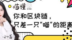 吃瓜群众喵鲨,吃瓜群众的趣味生活解码