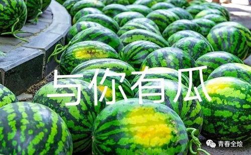 各大高校吃瓜,揭秘校园里的那些“吃瓜”事件